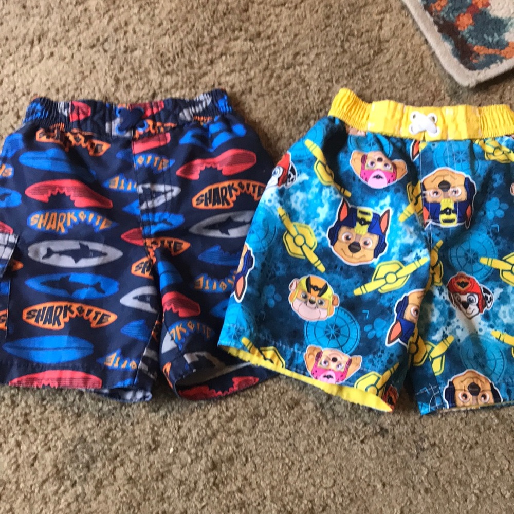 2t swim trunks